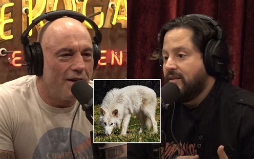 Ben Lamm details how AI played key role in dire wolves' resurrection on Joe Rogan’s podcast
