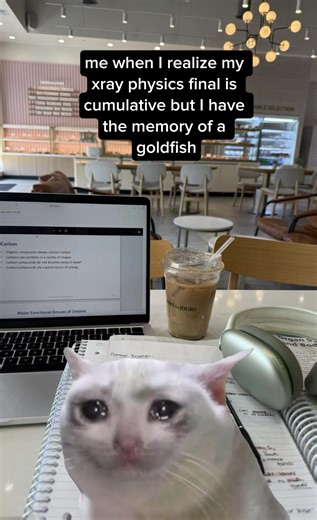 A Day in the Life of an X-Ray Student