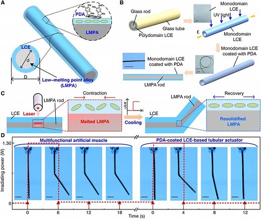 Self-sensing artificial muscle-based on liquid crystal elastomer and low-melting point alloys