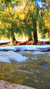 15 reactions | Nature's and Gif on Reels | Facebook