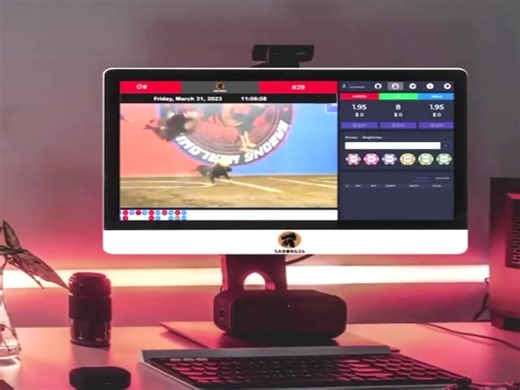 𝐒𝐁𝟐𝟒-𝐊𝟑 on Reels