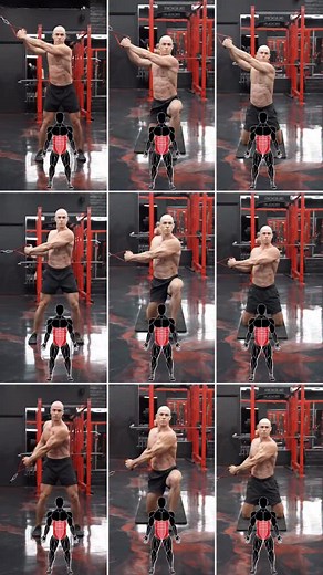 Athletic core exercises! Here are some cable core exercises you can add to your routine. 1) High to Low Cable Chop 2) Half Kneeling High to Low Cable Chop 3) Tall Kneeling High to Low Cable Chop 4) Cable Core Rotation 5) Half Kneeling Cable Core Rotation 6) Tall Kneeling Cable Core Rotation 7) Low to High Cable Lift 8) Half Kneeling Low to High Cable Lift 9) Tall Kneeling Low to High Cable Lift DM me “SHRED” to work with me 1-on-1! Supplements I take @transparentlabs Save with code ‘ALEX’ #abs #