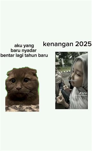 semoga tahun 2026 nya lebih baik amin #meme #cat #2025 #2026