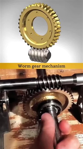 Worm Gear Mechanism: How a Worm Drive Works