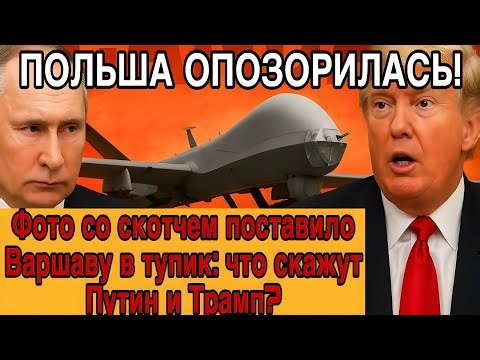 Дрон на скотче: Польша опозорилась! Путин молчит, Трамп смеётся