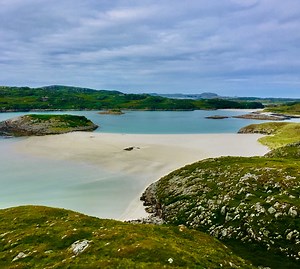 New Coastal Forager - Wild Human