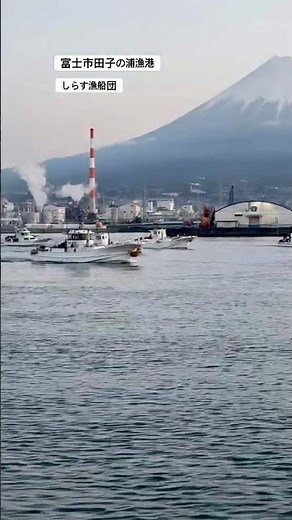 2026年3月、しらす漁船団の出港（富士市田子の浦漁港）。これから10ヶ月間にわたり、しらす漁が行われる。