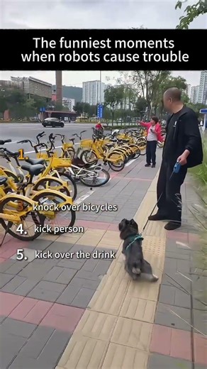 Ranking the funniest robot clips in the world