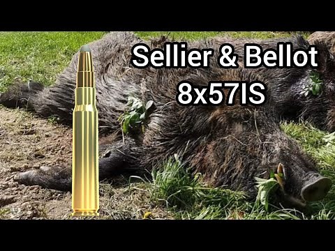 8x57IS Sellier & Bellot Spce effect on a wildboar, broadside shot.