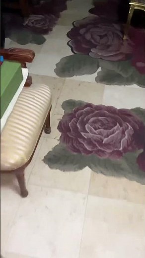 قطة شارع 😂 #يوميات_مرعى_براو #سكر_سووكر #مرعى_و_سكر #قطط #cats #pets