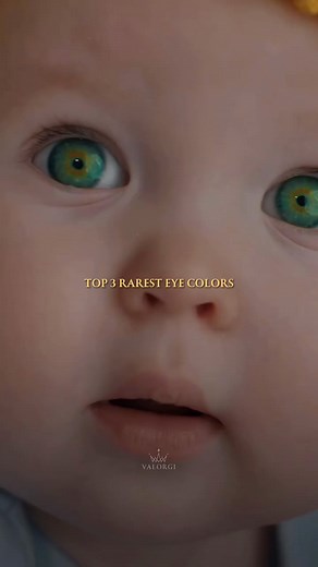 13K views · 310 reactions | Top 3 rarest eye colors in the world. ⠀...