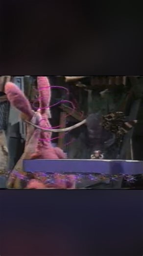 I felt so cool and edgy as a kid watching The Ferals on ABC #australia | Aussie TV Memes