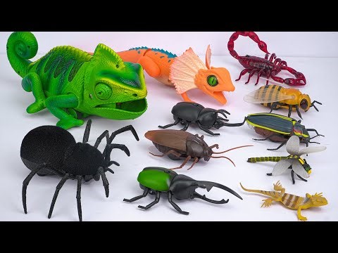 ZURU ROBO ALIVE COLLECTION | UNBOXING Robot Chalemon, New Robo Alive Giant Jungle Lizard | ASMR