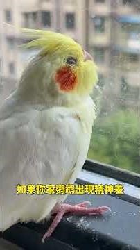 Avoid These 3 Mistakes Before & After Rain – Stay Safe