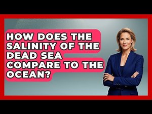 How Does The Salinity Of The Dead Sea Compare To The Ocean? - Polar Regions Uncovered