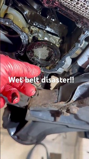 Citroen wet belt replacement pt.1 #part1 #citroen #timingbelt #quickguide #mechanic #mechaniclife