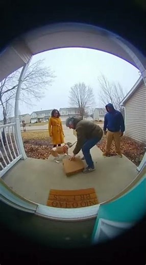 Oh No, The Mail Is Here! 😂📬