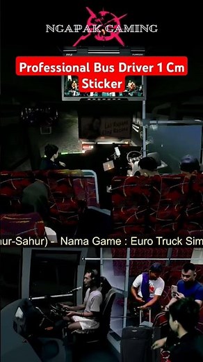 Professional Bus Driver 1 Cm Sticker