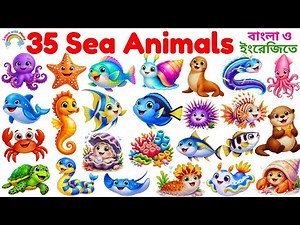 Say and learn 35+ sea animals names with pictures | 35+Sea Animals Name | Sea Animal in English &...