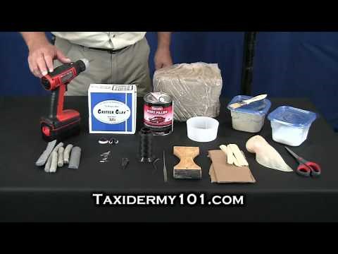 How to Taxidermy - Deer Taxidermy - Taxidermy Videos