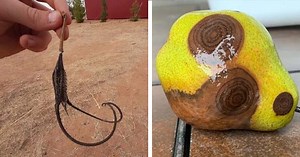 21 Weird Things People Found