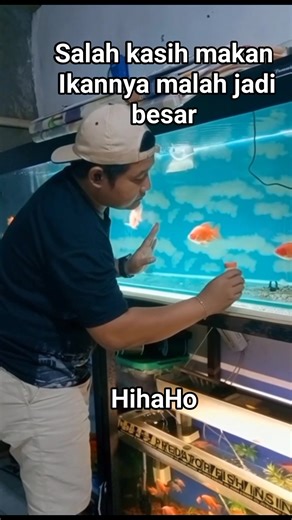 Salah kasih makan ikan HihaHo | David Netto