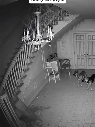A security camera was left running inside a house that's been empty for years. The chandelier was covered in cobwebs. The stairs hadn't been used since the last owner. Something was still moving through the foyer. #ScareStreet #BerkleyStreet #GhostStories #HorrorFan #BookTok #HorrorTok #HorrorReads #HauntedHouse #Scary #Paranormal #Ghost #horrorfans #skinwalker #GhostHunting #Cult #Horrortok #Booktok