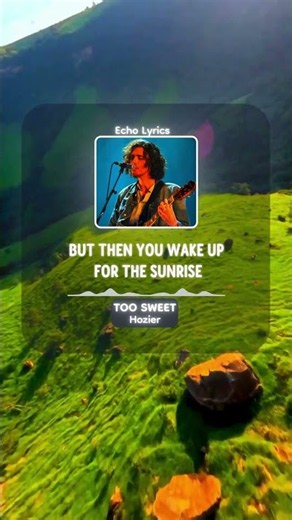 TOO SWEET - @hozier lyrics