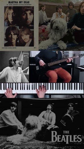THE BEATLES - Martha My Dear #TheBeatles #MarthaMyDear #PianoCover #BassCover #BeatlesCover
