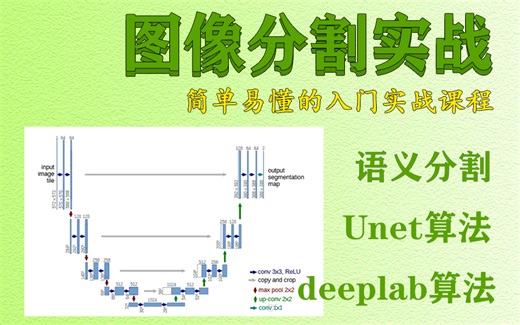 深度学习图像分割实战！心脏数据集分割建模、细胞分割等多个实战项目带你轻松掌握！全程干货，建议收藏观看！-附课件源码！