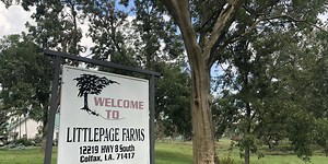 Littlepage Farms Laura recovery