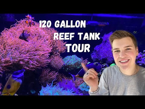 120 Gallon Reef Tank *COMPLETE SYSTEM WALKTHROUGH* (with links)