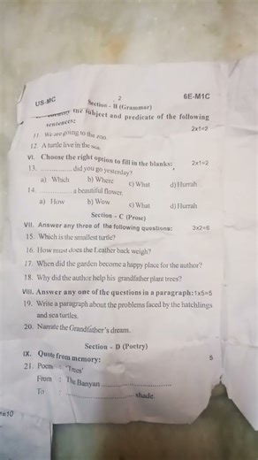 5th standard English first midterm question paper 2025 😎👍