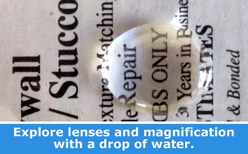Explore Magnification with a Drop of Water: Weekly Science Spotlight | Science Buddies Blog