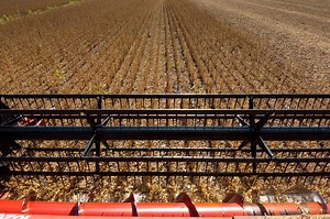 Soybean School: Cutting back harvest losses at the header