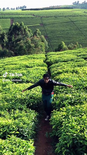 Dance Alone: Lyrics and Dance Tutorial