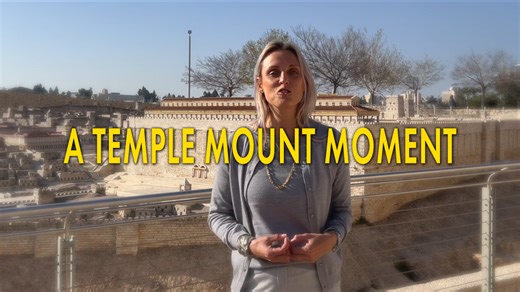 2.3K views · 209 reactions | VISITING SECOND TEMPLE JERUSALEM! Dr. Melissa Jane Kronfeld takes us on a tour of Second Temple era Jerusalem, with the Holy Temple in the heart of the city. The model of Second Temple Jerusalem is at the Israel Museum in modern day Jerusalem! | The Temple Institute | Facebook