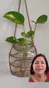 49K views · 10K reactions | Paso a paso el nudo del macramé#Macramé#nudo#caridadrodriguez #creatividad | Bienestar sin límite | Facebook