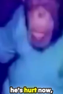 911 Call: Woman Mauled by Pet Chimpanzee | Travis the Chimp Incident [Part 2]