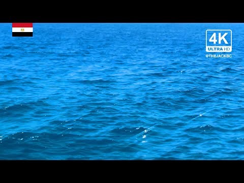 4K Egypt Background | Red Sea | Relaxing Ambient Wallpaper | 337