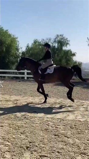 Want quiet hands when jumping?