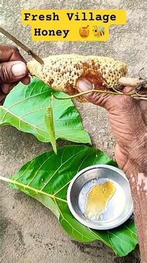 Watch This Amazing Village Honey Harvest 🍯