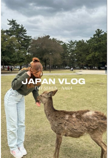 Part 7 | A day trip to Nara #travelvlog #japan #nara #deerpark #japanvlog things to do in Nara, Japan itinerary