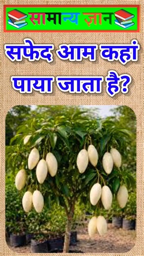 Top 50 ✍️ IAS Question🔥💯🥰 || GK Question and Answer|Part-395| #facts #gkfacts #gkinhindi #staticgk