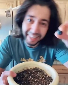 119 reactions · 39 shares | Baby Blueberries! 朗 . . . #lifehack #garden #trick #lifehacks #gardenlife #tips #plants #plantstagram #instagood #instadaily #learnfromme #alwayslearning #hacks #gardening #gardner #reels #magic #wow #diy #gardeninspiration #plantsmakepeoplehappy #creativeexplained #plantfood #growplants #howto #cucumber #facts #project #reels | creative explained | Facebook