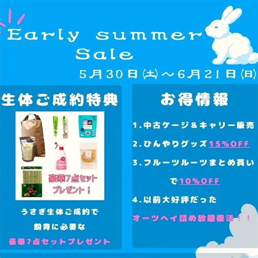 ⭐︎ジャージーウーリー 手乗り動画⭐︎ #shorts