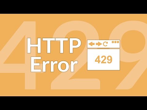What Is the HTTP 429 Error and How to Fix It