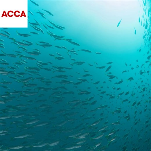 Prove your impact. Register for the Professional Diploma in Sustainability now – and join the next exam sitting on November 25th. Find out more: https://www.accaglobal.com/gb/en/qualifications/glance/professional-diploma-in-sustainability/overview.html?utm_source=linkedin&utm_medium=organicsocial&utm_campaign=prodipsust_ee-dec25&utm_content=oct25_post2 | ACCA