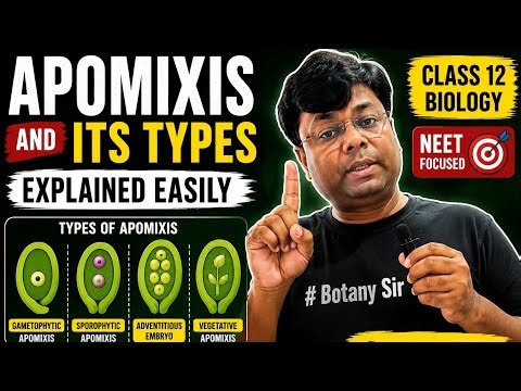 Apomixis and Its Types Explained Easily | Class 12 Biology | NEET