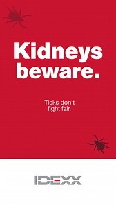 14K views · 91 reactions | Chronic kidney disease risk increased 43% in Lyme-positive dogs. | IDEXX | Facebook